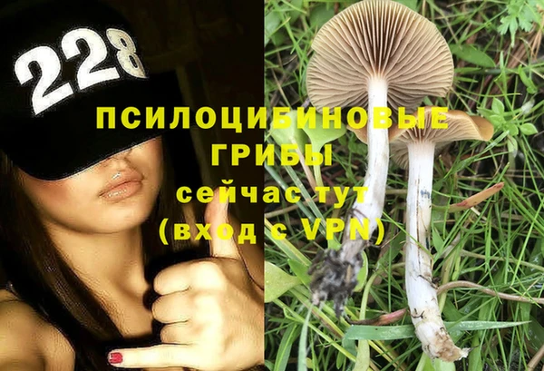 таблы Богданович