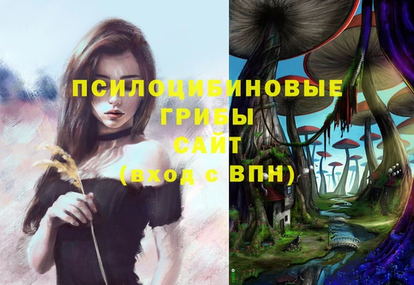 таблы Богданович