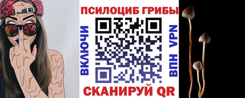 Галлюциногенные грибы ЛСД  даркнет сайт  Кодинск 